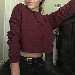Maroon Cropped sweater